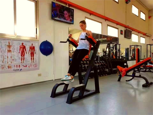 Vertikales Knie-Up/Dip Stahlmaterial Fitness-Trainer-Ausrüstung für ultimatives Bodybuilding
