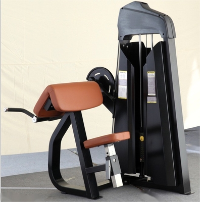 Optional Auswählbar Befreeman beliebte kommerzielle Fitness-Ausrüstung Stahl sitzende Camber Curl Medium Loader