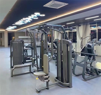 Gewerbliche Fitness-Gymnastik-Pin-belastete Brustfliege-Maschine für Hinter-Delt und Brustfliege
