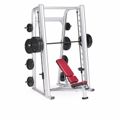 Gewerbliche Fitness-Ausrüstung Kraft-Training-Maschine mit individuellem Logo erhältlich
