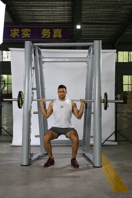 Gewerbliche Fitness-Ausrüstung Kraft-Training-Maschine mit individuellem Logo erhältlich