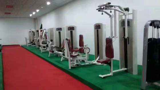 Handelsübliche Fitnessstudio-Ausrüstung Einstellbare Rückenübungsmaschine mit 1500*1200*1750 mm Größe