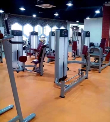 Logo angepasstes Logo verfügbard Kickback Glute-Maschine für kommerzielle Fitness-Zentren
