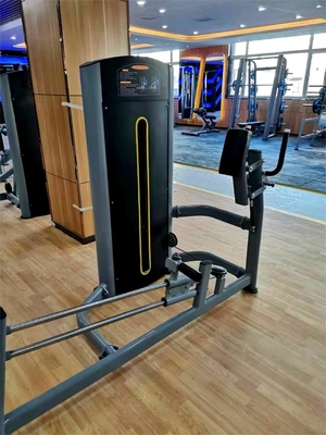 Logo angepasstes Logo verfügbard Kickback Glute-Maschine für kommerzielle Fitness-Zentren