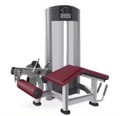 140 kg Stahl-Pin-belastete, verstellbare Sitzbeinverlängerung und Neigenbeinkurbelung Dual-Funktion Gym-Ausrüstung Mittellader