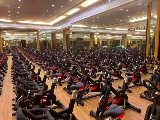 18 kg Flywheel Gym-Ausrüstung für kommerzielles Kardio-Training und Körperstärkung