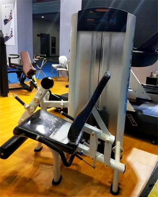 Professionelle Universal-Stift-belastete verstellbare Sitzgluten Quads Bein-Übung Maschine