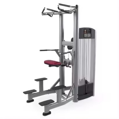 Pull-up-Bar und Dipping-Maschine für Trizeps Deltoiden Training mit Fitness Sport Funktion