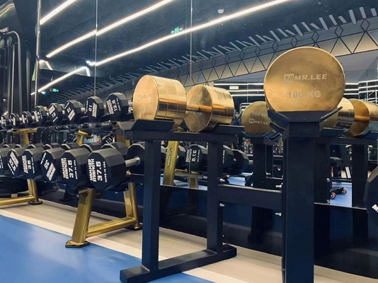 Erleben Sie die Kraft unserer Chrom-Hanteln für Krafttraining 2,5 kg-100 kg