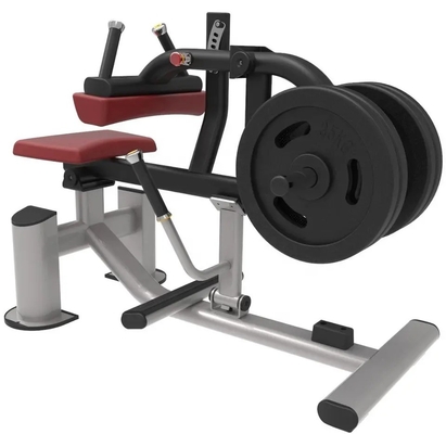Universalplattenladener sitzender Kälberpresser für Fitnessstudio-Ausrüstung 1270*770*1400 mm