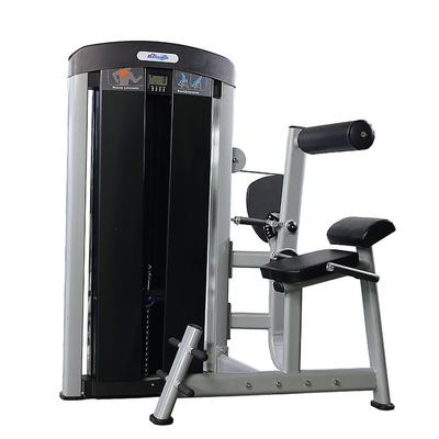 Gewerbliche Fitnessstudio-Ausrüstung Pin-ladener Bauchtrainer mit verstellbarer Rückenverlängerung