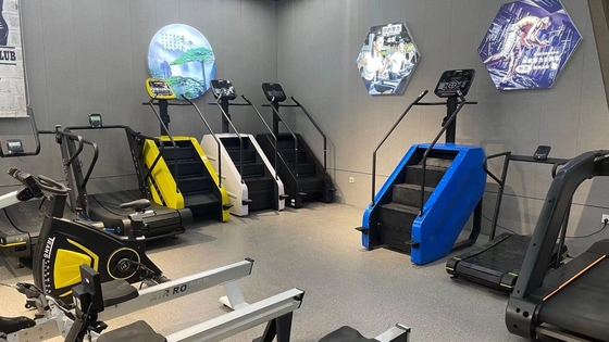 Bodybuilding Gym Maschine Treppensteiger Gewerbliche Treppe Meister Stepper Übung