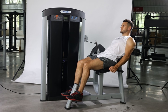 Gewerbliche Fitnessstudio-Ausrüstung Pin-ladener Bauchtrainer mit verstellbarer Rückenverlängerung