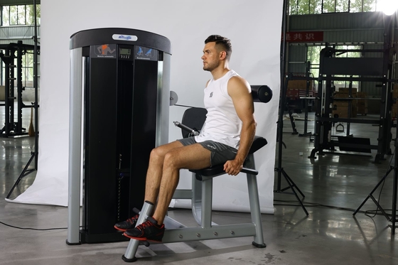 Gewerbliche Fitnessstudio-Ausrüstung Pin-ladener Bauchtrainer mit verstellbarer Rückenverlängerung