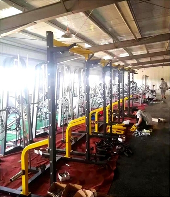 Geschlechterneutrale Trainingsgeräte Beinpress-Pull-Up-Brustpress-Squat-Rack Power Rack