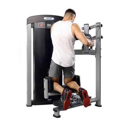 Mittlerer Lader für Torso Rotation Training Fitness Bodybuilding Übungsfunktion