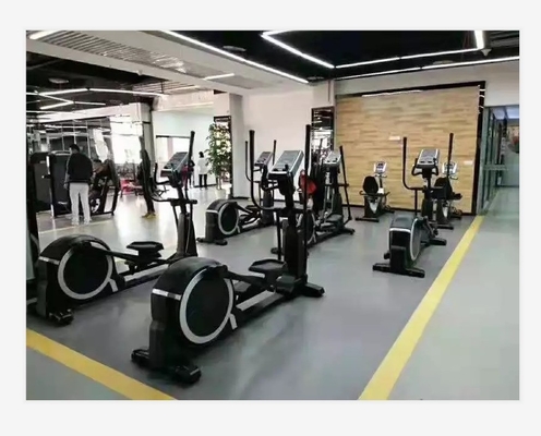 Optional Auswählbares Rahmen Farbe Handbuch Cross Trainer Elliptik Fahrrad für Indoor Fitness