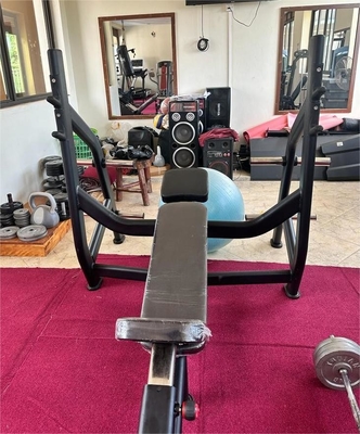 Befreeman Gym Center Neigung Bänk Pin Belastungsauswahl Maschinen mit 1450 * 1260 * 1420 mm