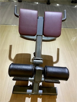 Stil Luxus Fitness-Ausrüstung für Rückenübungen Verstellbare Rückenverlängerung Römischer Stuhl