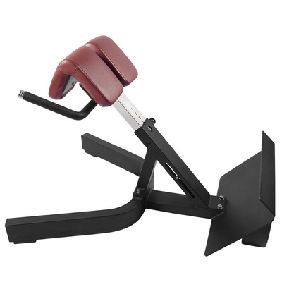 Krafttraining Multifunktionales Arm Curl Back Extension Bench Römischer Stuhl für Unisex