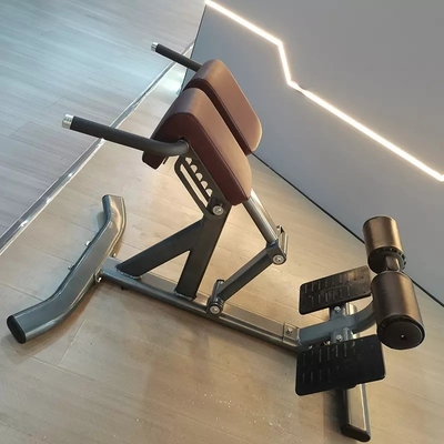 Krafttraining Multifunktionales Arm Curl Back Extension Bench Römischer Stuhl für Unisex