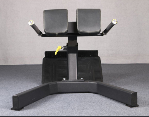 Krafttraining Multifunktionales Arm Curl Back Extension Bench Römischer Stuhl für Unisex