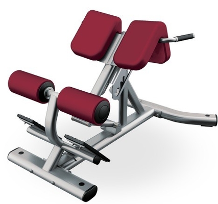 Gymnastik Fitness 45 Grad Rückenverlängerung Maschine mit optionale wählbare Rahmenfarbe