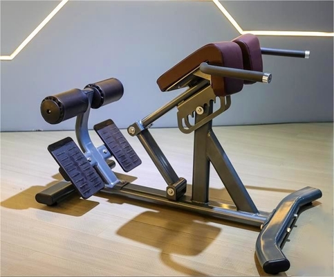 Gymnastik Fitness 45 Grad Rückenverlängerung Maschine mit optionale wählbare Rahmenfarbe