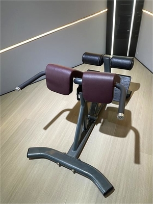 Gymnastik Fitness 45 Grad Rückenverlängerung Maschine mit optionale wählbare Rahmenfarbe
