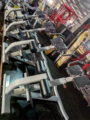 Gymnastik Fitness 45 Grad Rückenverlängerung Maschine mit optionale wählbare Rahmenfarbe
