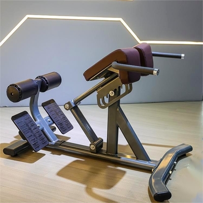 Fitnessstudio Krafttraining Ausrüstung Verstellbare Rückenverlängerung Römischer Stuhl für kommerzielle