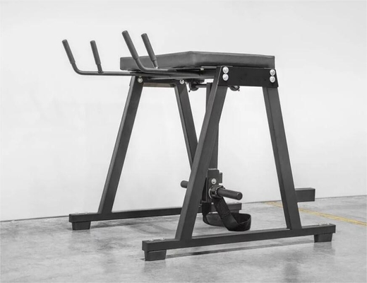 Q235 Plattenbelastetes Glute Training Umgekehrter Hyper für Muskelausbildung im kommerziellen Fitnessstudio