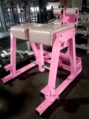 Q235 Plattenbelastetes Glute Training Umgekehrter Hyper für Muskelausbildung im kommerziellen Fitnessstudio
