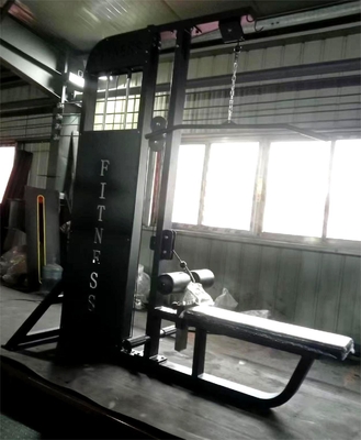 Heimgymnastik 2 in 1 sitzende Lat-Pulldown-Maschine mit kommerzieller Stahlkonstruktion