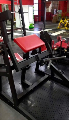Plattenbelastete Maschine mit sitzender Bicep-Curl-Maschine mit optionaler Rahmenfarbe 2020 Design