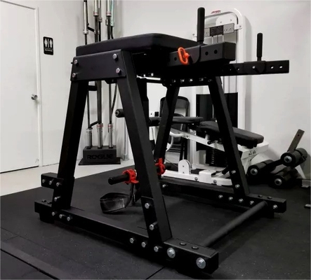 Gewerbliche Fitnessstudio-Ausrüstung Reverse Hyper mit Stahlmaterial und kundenspezifischem Design