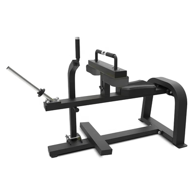 Sitzende Kälber heben Plattenaufladung MARCH EXPO Fitnessstudio Ausrüstung mit individuellem Logo verfügbard