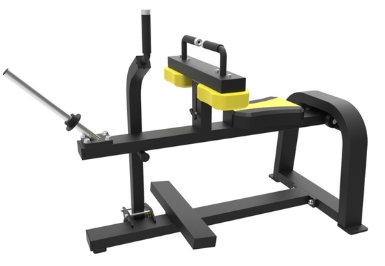 Sitzende Kälber heben Plattenaufladung MARCH EXPO Fitnessstudio Ausrüstung mit individuellem Logo verfügbard