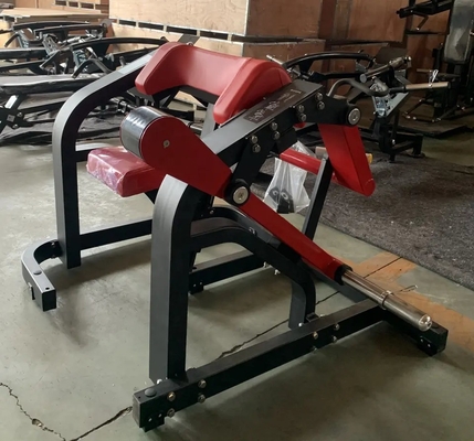 1400*1300*1000 mm Plattenbelastete sitzende Bicep Curl Gym-Ausrüstung für Arme und Schultern