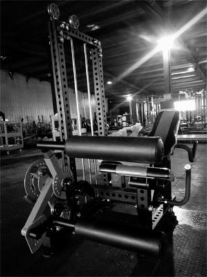 Sitzbeinkrümmerung/Sitzbeinkrümmerung/Beinverlängerung Mittellastgerät für Fitnessgeräte aus Stahl