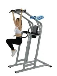Fitnessstudio-Ausrüstung Pull Up Bar Beinheben und Brust Schulter Training Power Tower Dip Station