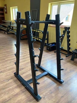 Verbessern Sie Ihr Fitnessstudio mit Befreeman's 1020*850*1550 mm kommerziellen vertikalen Balkenregal