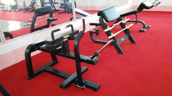 Gewerbliche Fitness-Ausrüstung für den Fitnessstudio Sitze Kälberheber mit individuellem Logo verfügbar