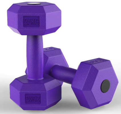 Personalisiertes Logo Kommerzielles Gewichtstraining Dumbbell Fitness für Bodybuilding