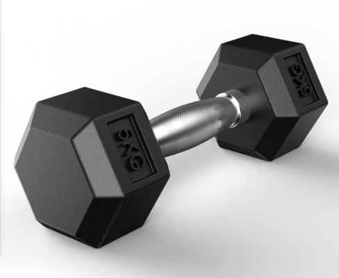 Personalisiertes Logo Kommerzielles Gewichtstraining Dumbbell Fitness für Bodybuilding