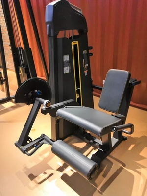 Bodybuilding Pin-Load-Selektion Sitzbeinverlängerungsmaschine für funktionelles Training