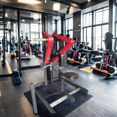 Mittellange Ladegeräte aus Stahl zum Rudern im Befreeman Commercial Gym