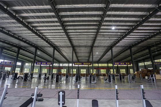 Gym Center Rahmen Farbe Optional Auswählbares Kinn Tauchen Bein Heben Übung Fitness-Maschine