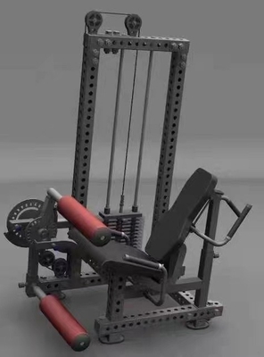 Gewerbliche Fitnessstudio-Ausrüstung Auswahl der Nadellast Dual Leg Extension und Leg Press Machine