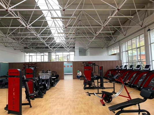 Mittellastmaschine Stahlrückenverlängerung für Krafttraining Fitnessgeräte